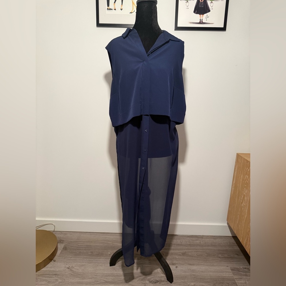 Limited Edition Long Sheer Dress